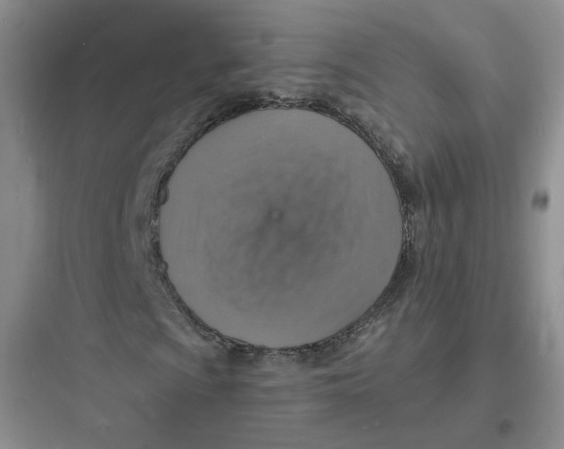 X0000097671009200803211937