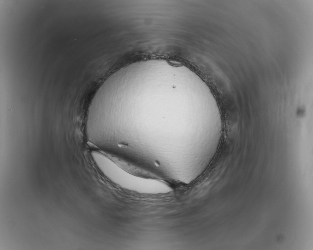 X0000097671010200803211937