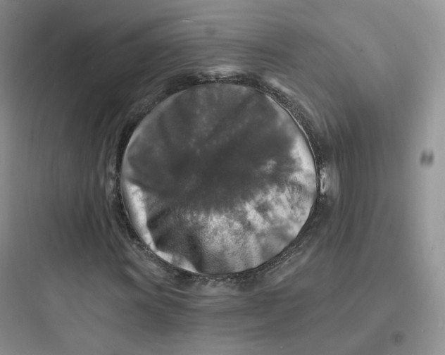 X0000097671011200803211938