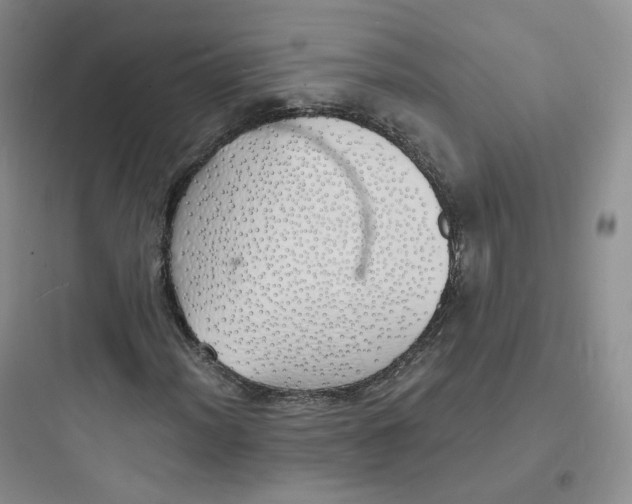 X0000097671012200803211938