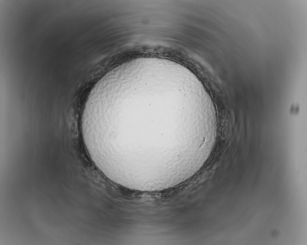 X0000097671013200803211938