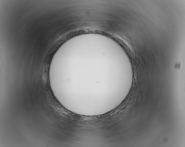 X0000097671015200803211938