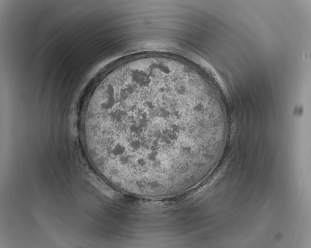 X0000097671019200803211938