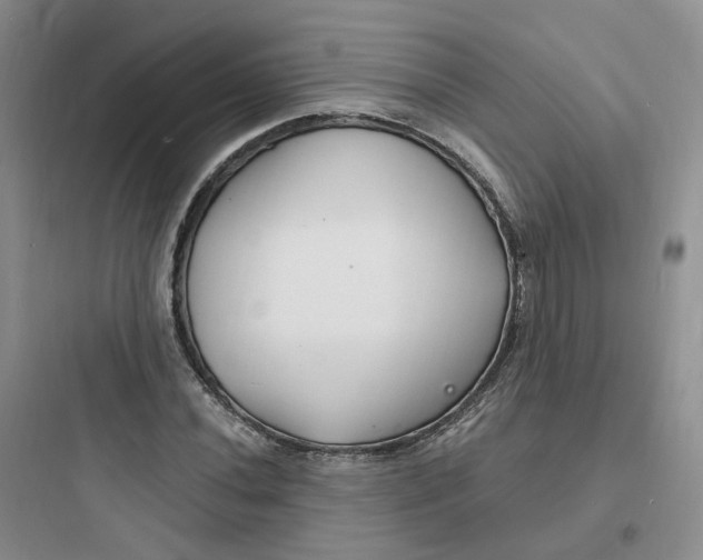 X0000097671020200803211938