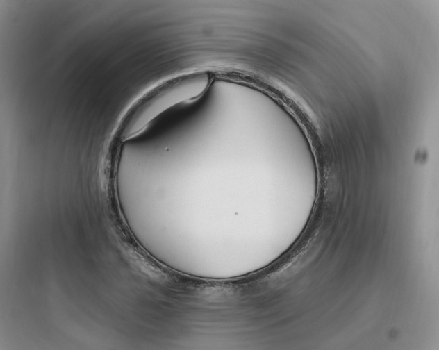 X0000097671021200803211938