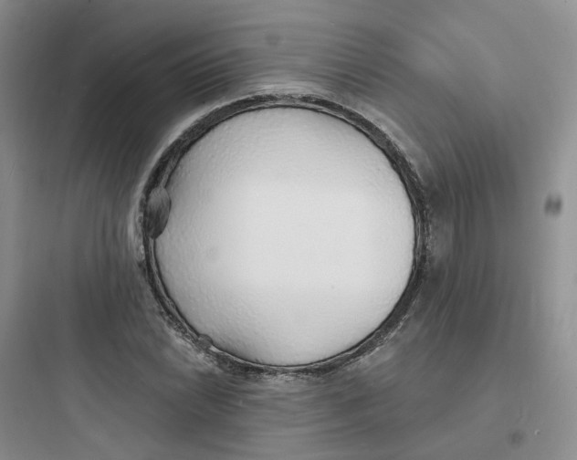 X0000097671022200803211938