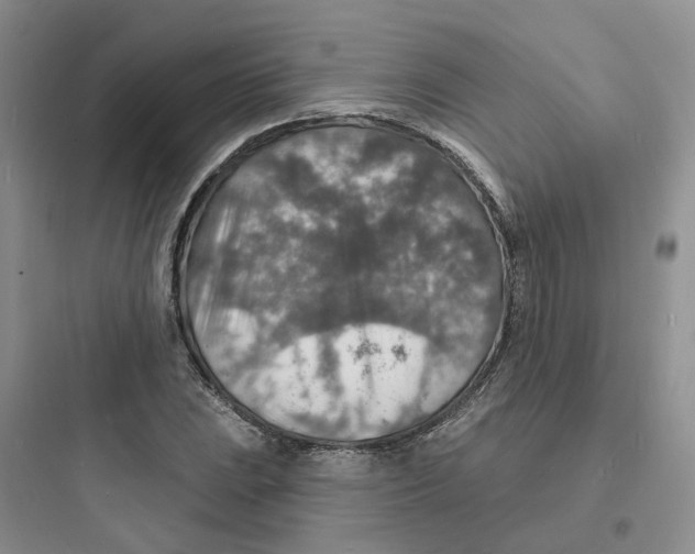 X0000097671023200803211938