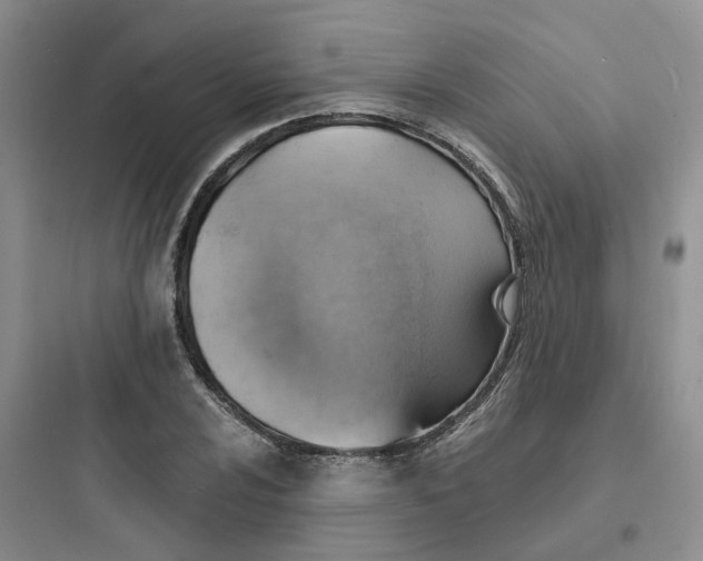 X0000097671024200803211938