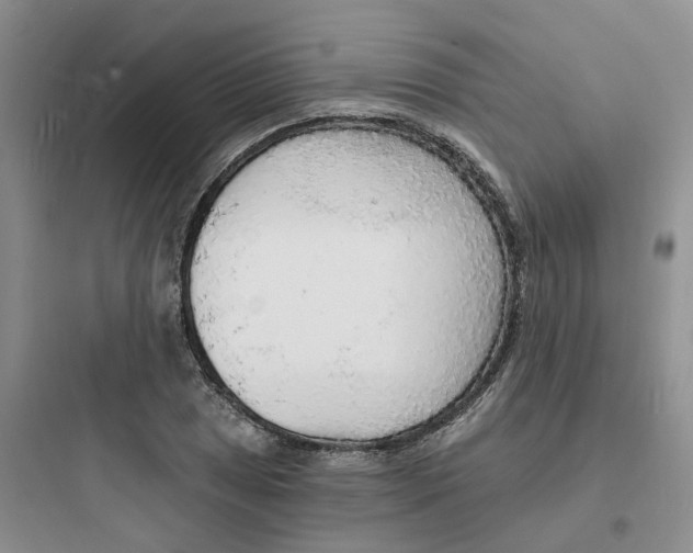 X0000097671025200803211938