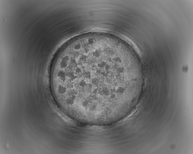 X0000097671027200803211938