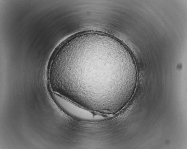 X0000097671028200803211938