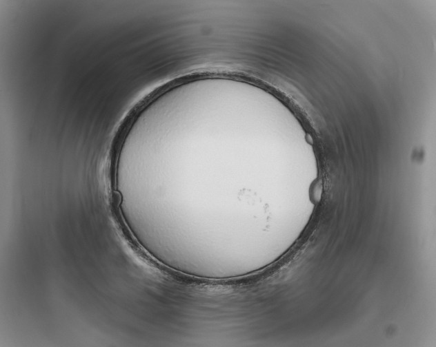 X0000097671030200803211938