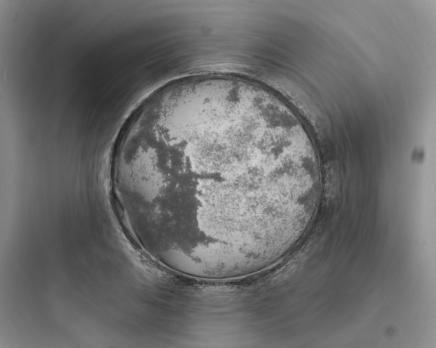 X0000097671031200803211938