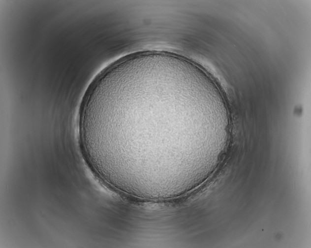 X0000097671032200803211938