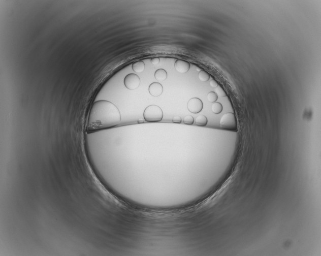 X0000097671033200803211938