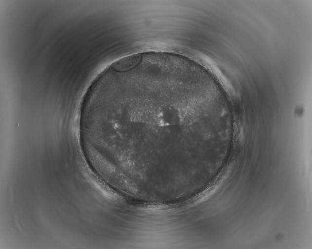 X0000097671035200803211938