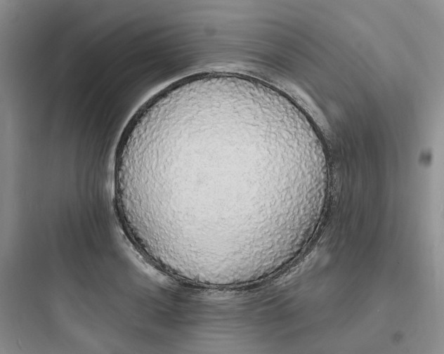 X0000097671036200803211938