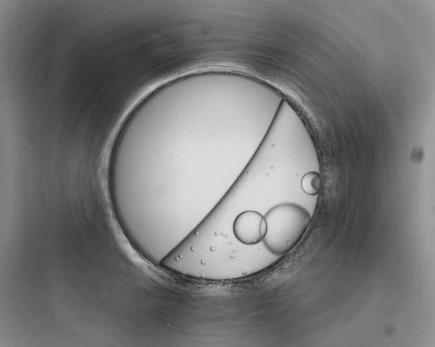 X0000097671038200803211938