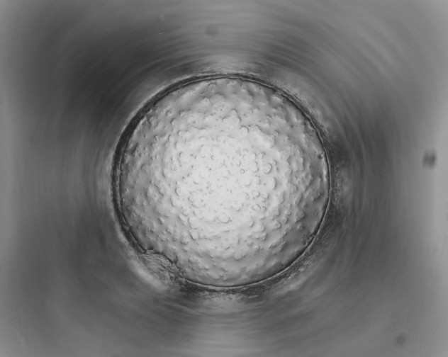 X0000097671039200803211938