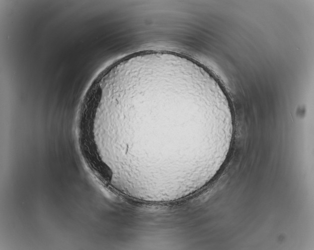 X0000097671040200803211938