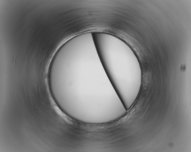 X0000097671042200803211938