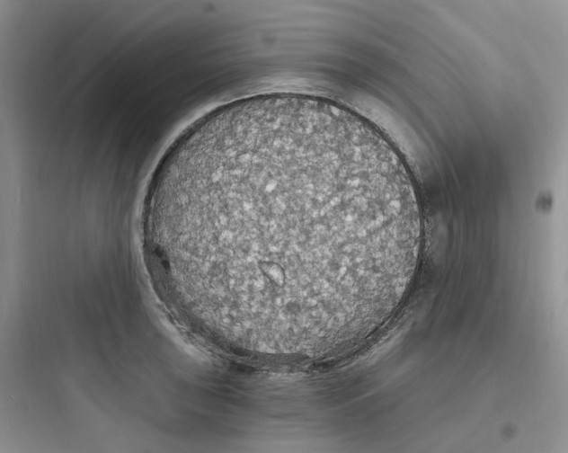 X0000097671043200803211938