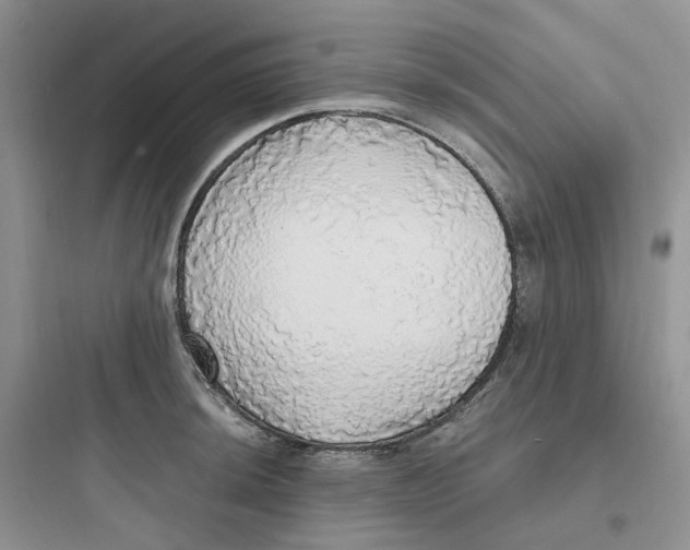 X0000097671044200803211938