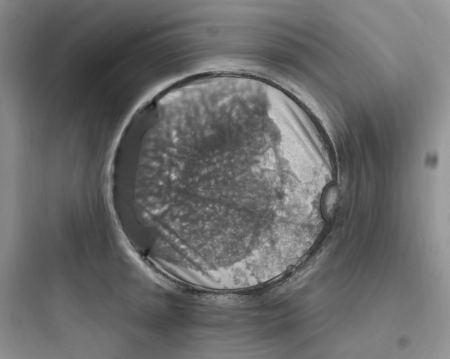 X0000097671045200803211938