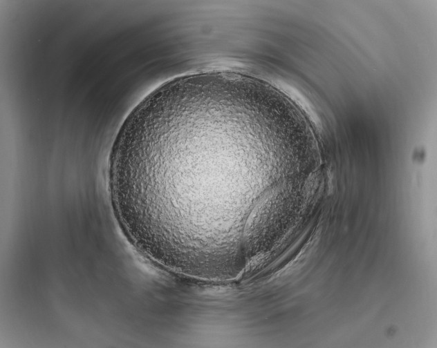 X0000097671047200803211938