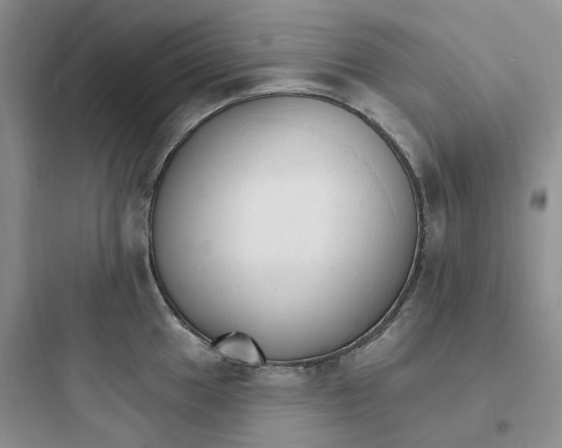 X0000097671049200803211938