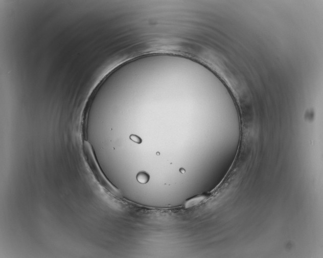 X0000097671050200803211938