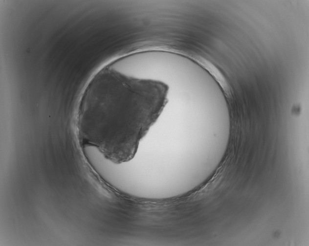 X0000097671051200803211938