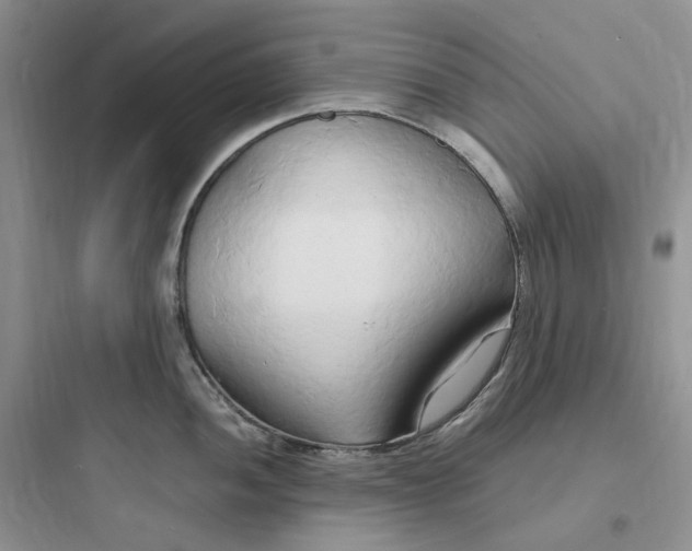 X0000097671052200803211938