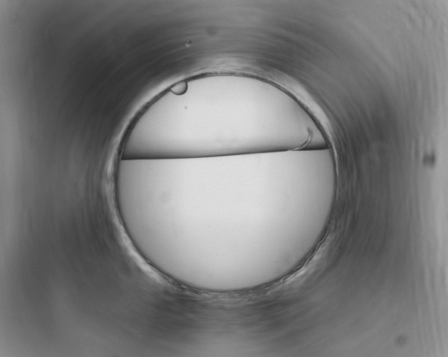 X0000097671053200803211938