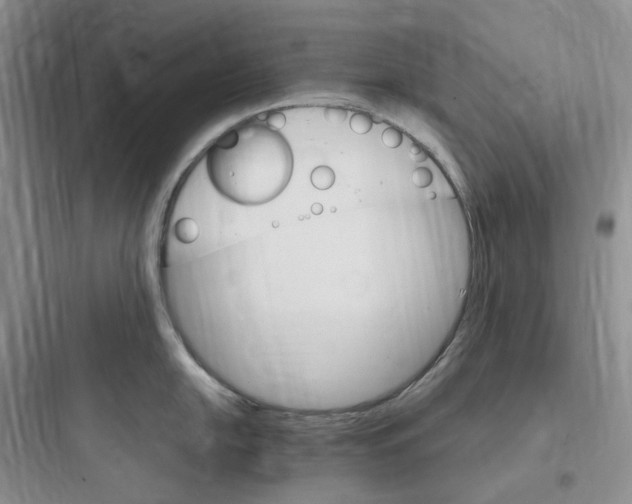 X0000097671054200803211938