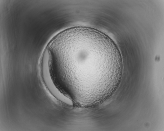 X0000097671056200803211938