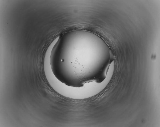 X0000097671058200803211937