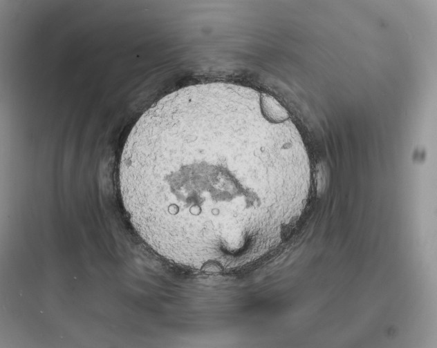 X0000097671059200803211937