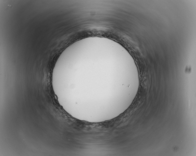 X0000097671061200803211937