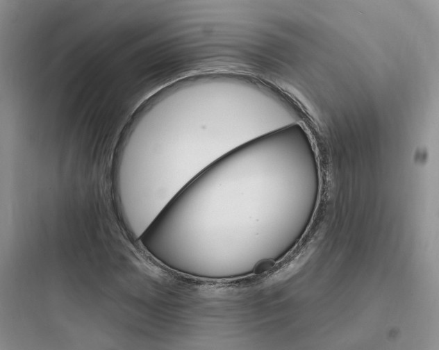 X0000097671065200803211937