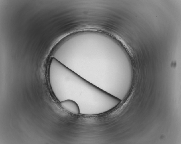 X0000097671066200803211937