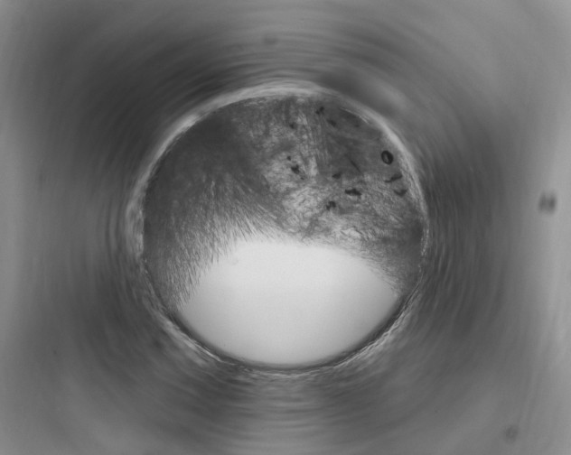 X0000097671067200803211937