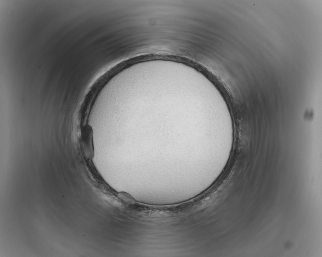 X0000097671070200803211937