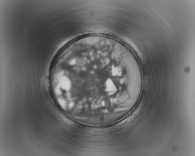 X0000097671071200803211937