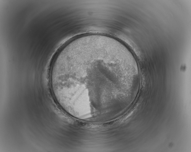 X0000097671074200803211937