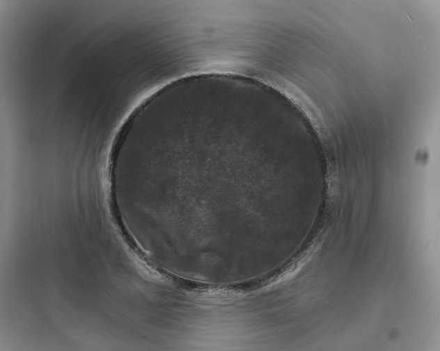 X0000097671077200803211937