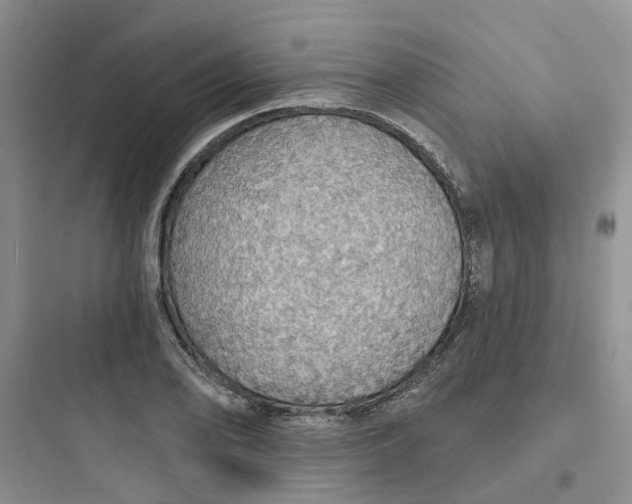 X0000097671078200803211937