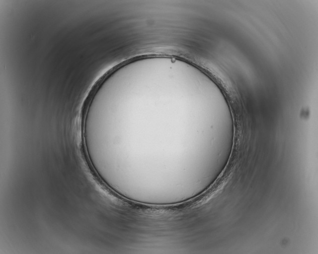 X0000097671079200803211937