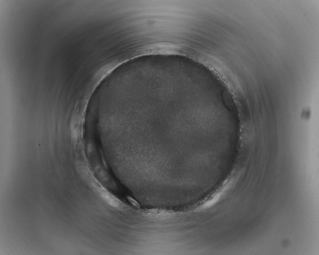 X0000097671081200803211937