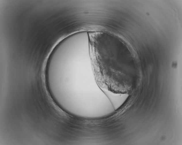 X0000097671083200803211937